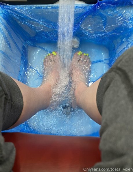 Toetalvixen
