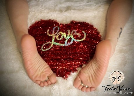 Toetalvixen