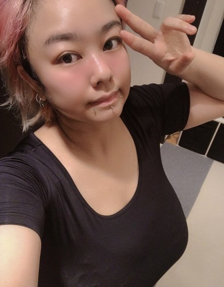 Pchan 666