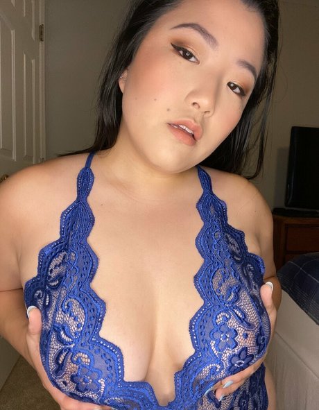 Stella_fox