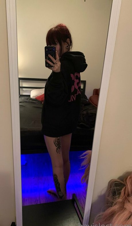 Hayislostfree