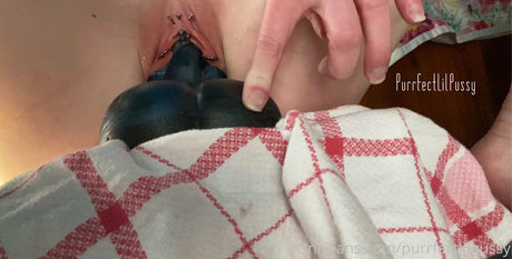 Purrfectlilpussy