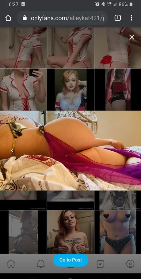 Alleykat421