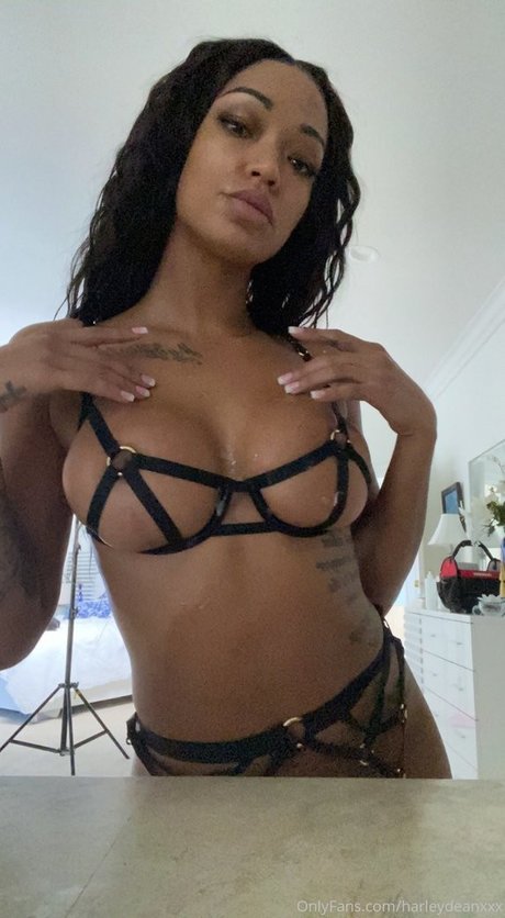 Harley Dean