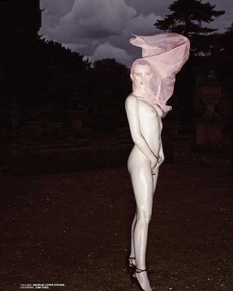 Nagie wyciekłe zdjęcie OnlyFans od Karen Elson