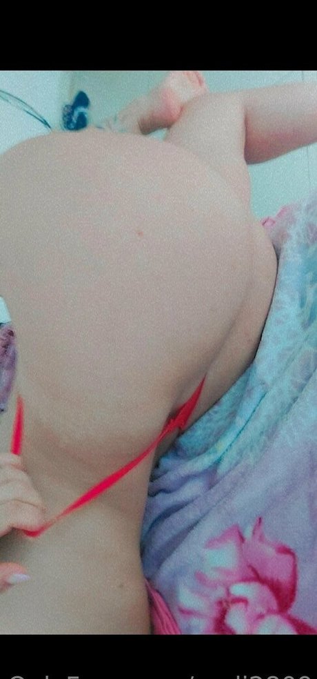 Laveci28