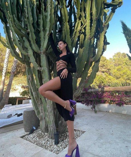Dua Lipa