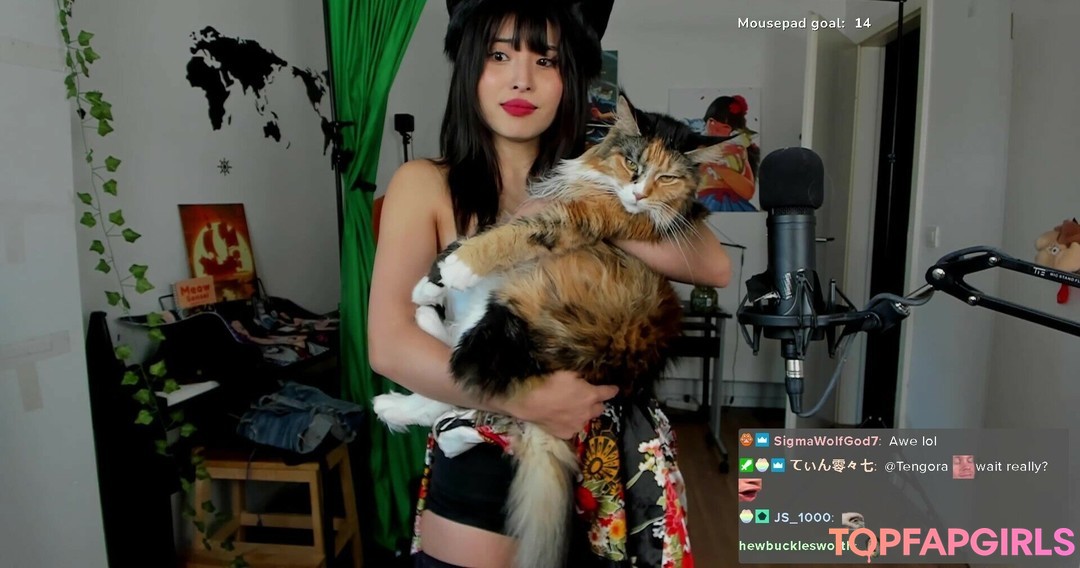 Nagie wyciekłe zdjęcie OnlyFans od Meowko #1538