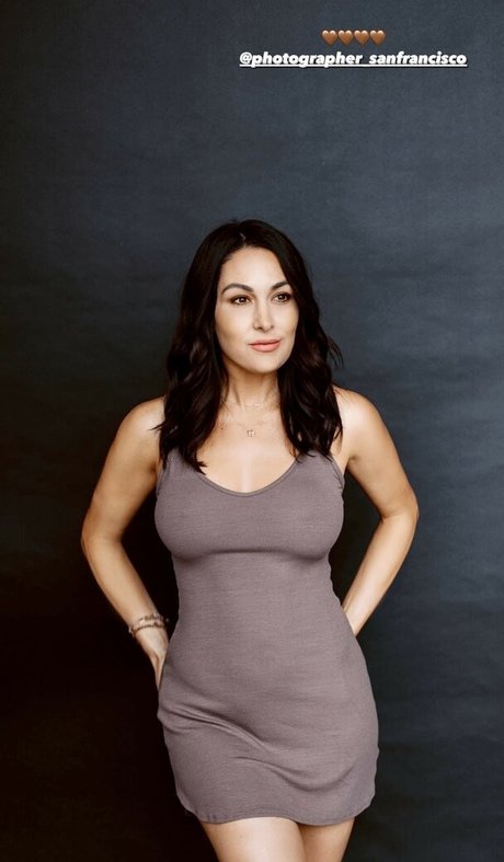 The Bella Twins