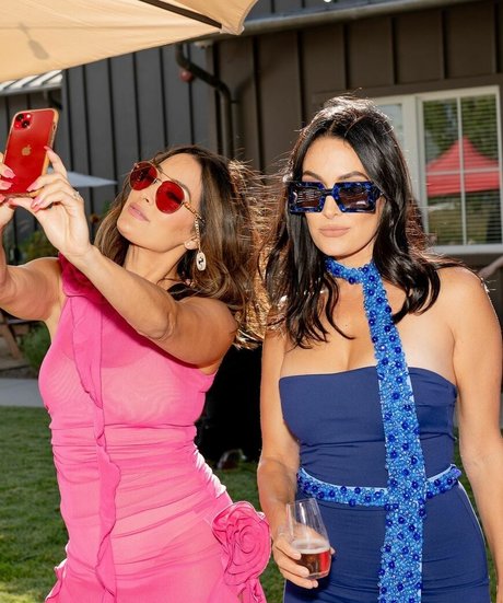 The Bella Twins: