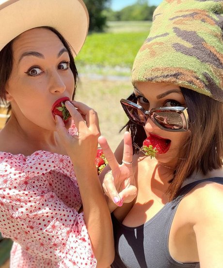 The Bella Twins