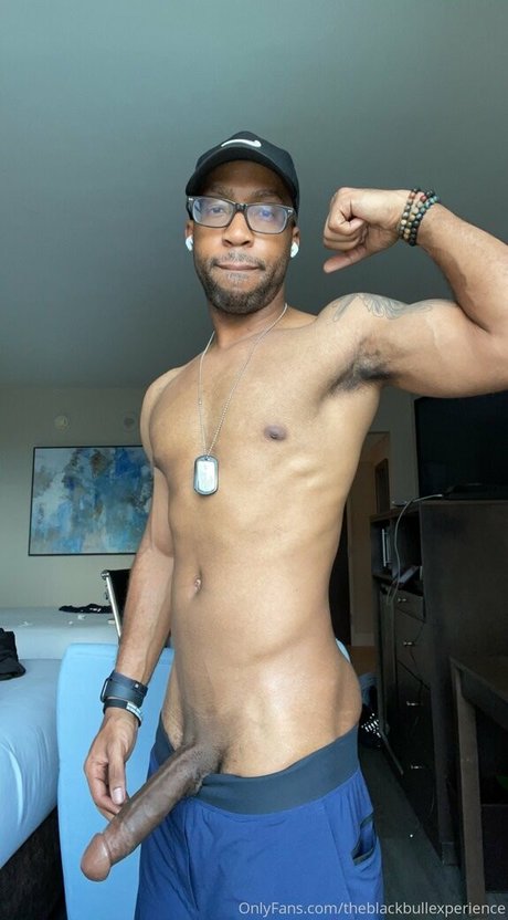 Theblackbullexperience