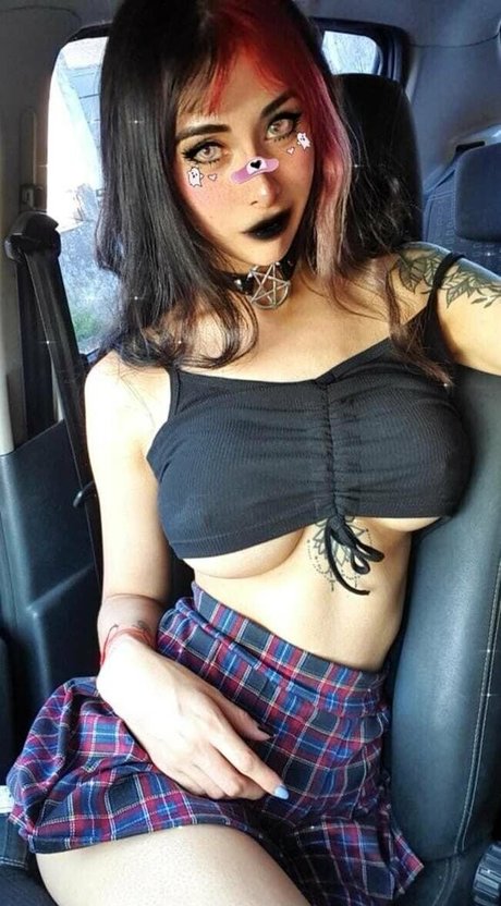 Shunli Mei