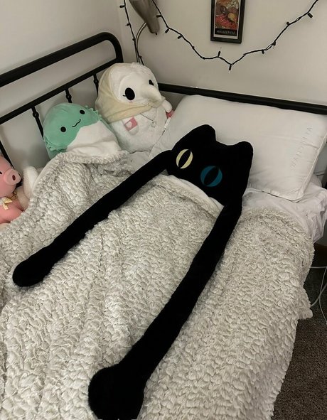 Nagie wyciekłe zdjęcie OnlyFans od Sleepyraccoon