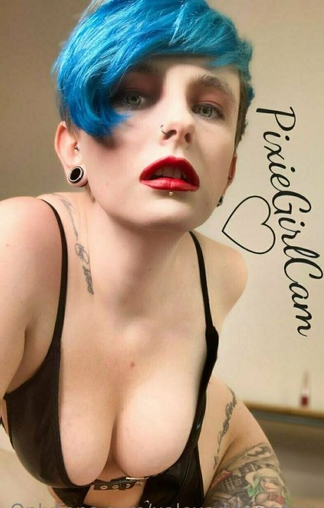 Xalexaddamsfree