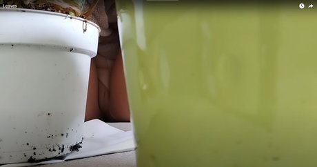 Nagie wyciekłe zdjęcie OnlyFans od Maria Bonita