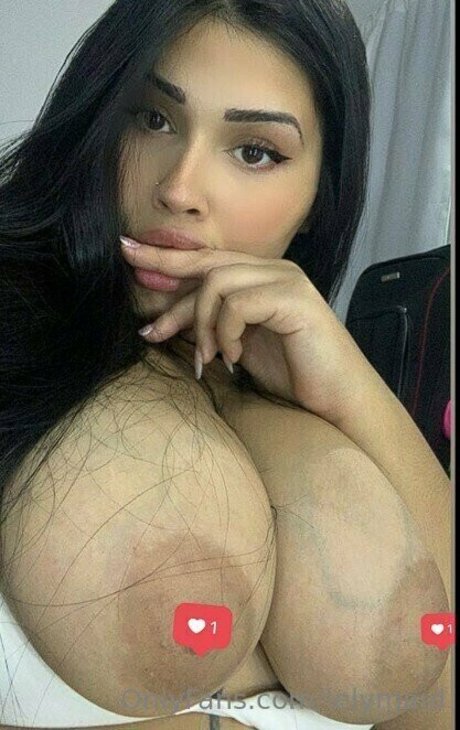 Lelymaid