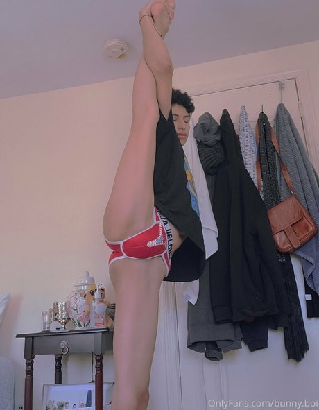 Nagie wyciekłe zdjęcie OnlyFans od Twinku