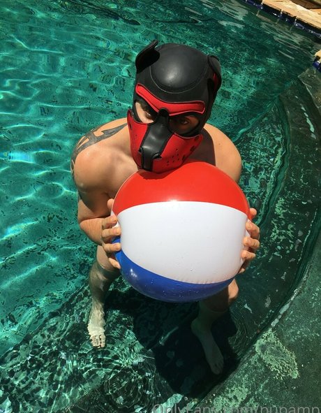 Nagie wyciekłe zdjęcie OnlyFans od Pupamp