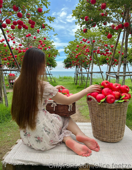 Alice.feetze