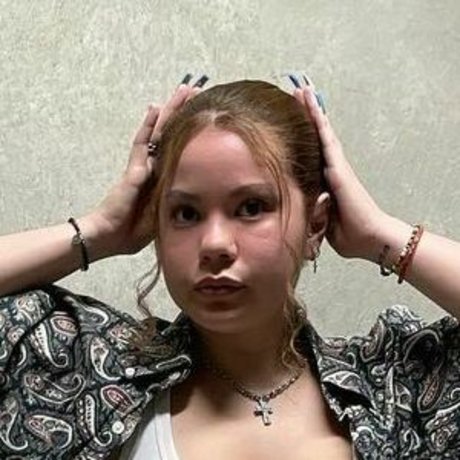 Erikaapalacioss