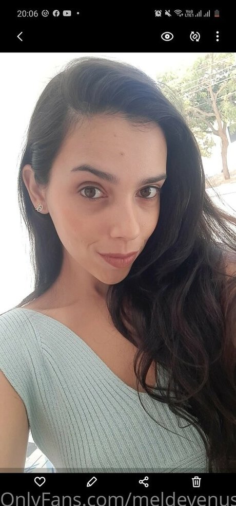 Meldevenus