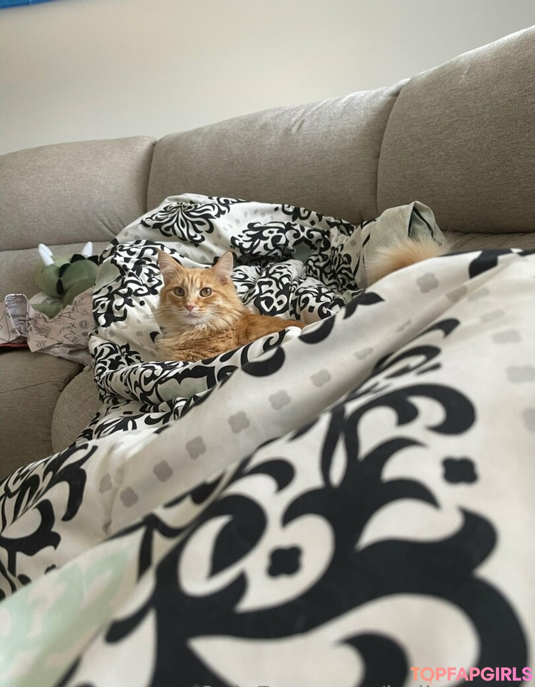 Nagie wyciekłe zdjęcie OnlyFans od Bellecurves #81 Nagie wyciekłe zdjęcie OnlyFans od Bellecurves #81