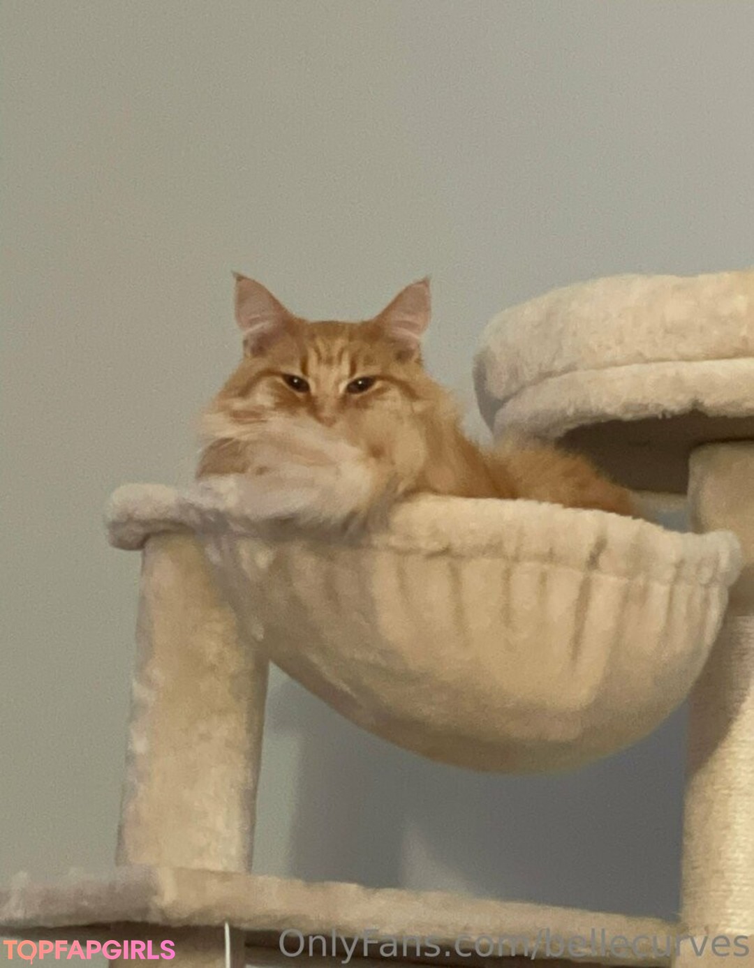 Nagie wyciekłe zdjęcie OnlyFans od Bellecurves #92 Nagie wyciekłe zdjęcie OnlyFans od Bellecurves #92