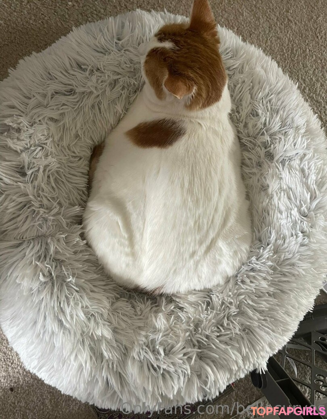 Nagie wyciekłe zdjęcie OnlyFans od Bellecurves #94 Nagie wyciekłe zdjęcie OnlyFans od Bellecurves #94