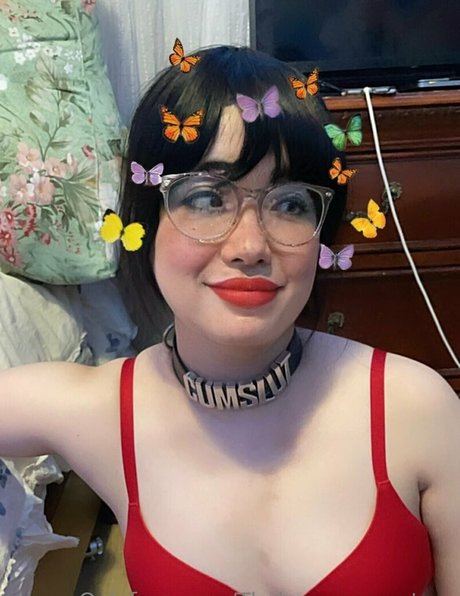 Thekoreansecretary