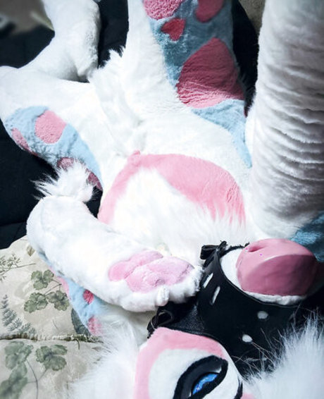 Nagie wyciekłe zdjęcie OnlyFans od Murrsuit