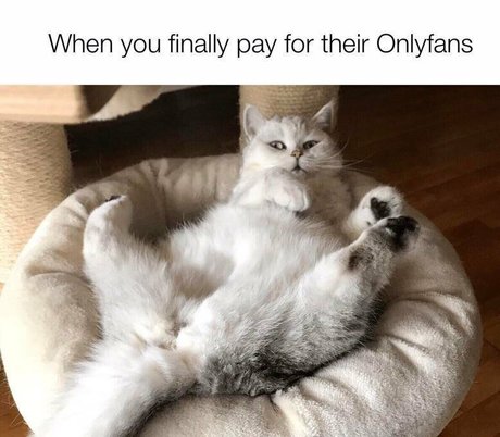Mamaisnaughtyfree