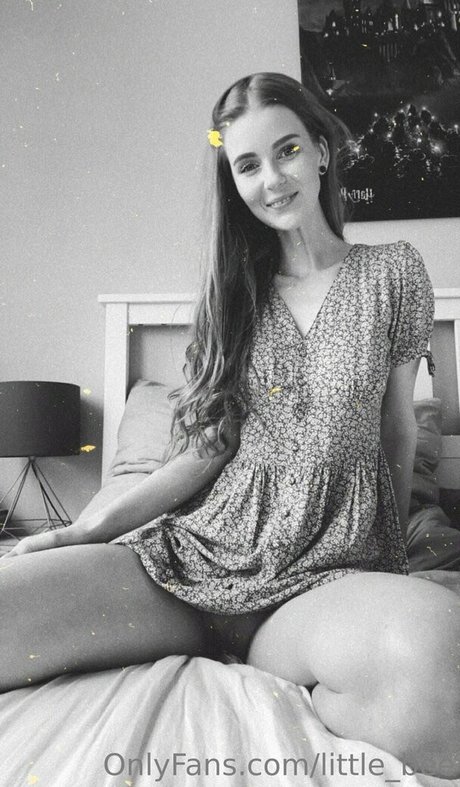 Little_bee