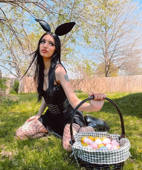 Alison Rainer