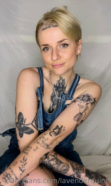Lavenderquinn