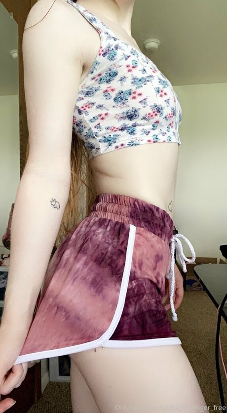 Sinfullilgingerfree