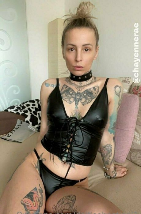 Delfisebastiani1