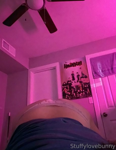 Nagie wyciekłe zdjęcie OnlyFans od Stuffylovebunny