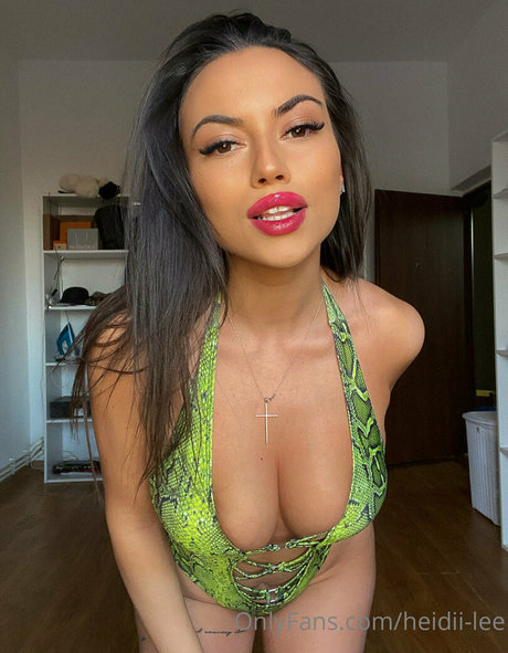 Heidii lee
