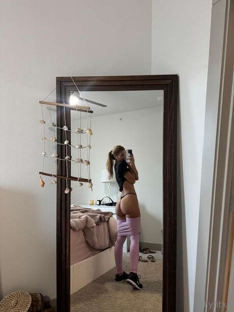 Lillyfitxo