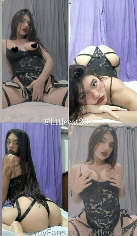 Littlecat234