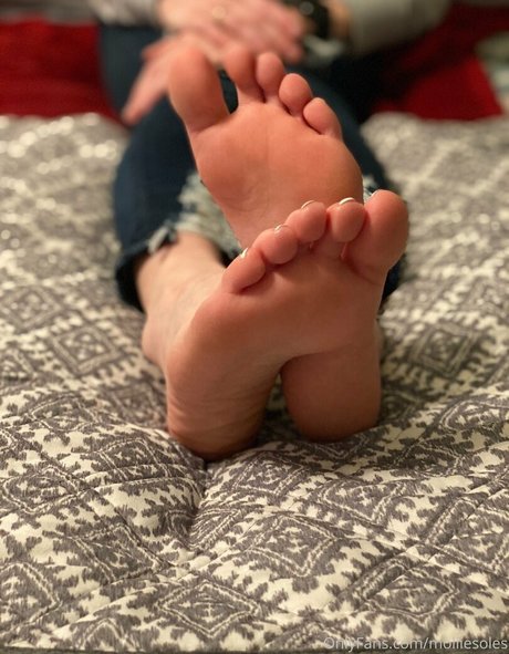 Molliesoles