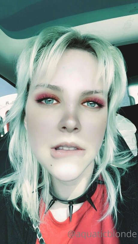 Porcelainblues