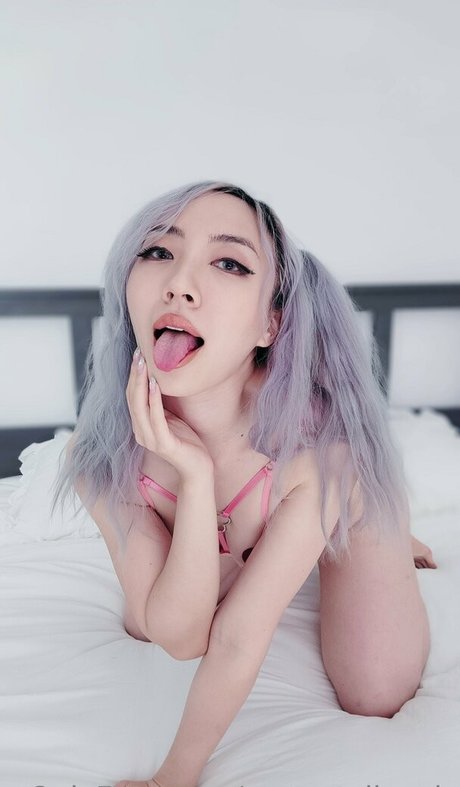 Morestellewds