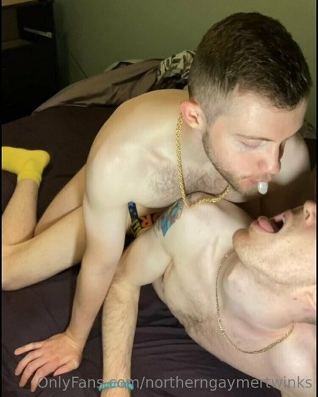 Northerngaymertwinks