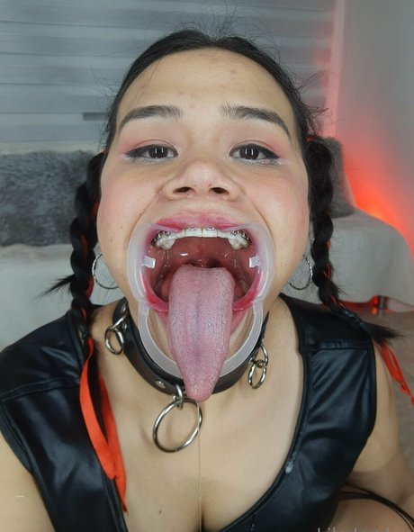Lilajordan